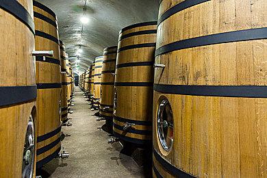 育碧员工：公司处理骚扰相关投诉的力度远远不够